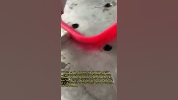 Cellphone casing automated glue dispensing machine