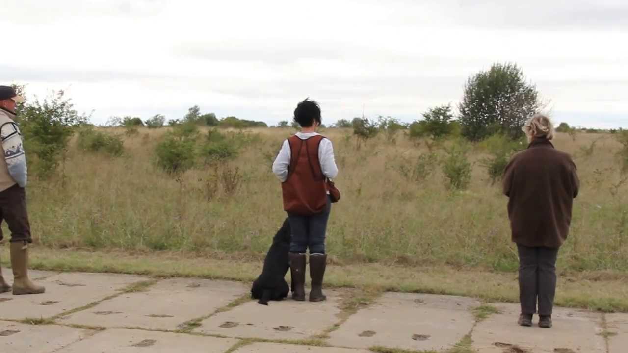 DRC Newcomer Trophy Erfurt  14.09.2013