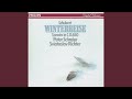 Miniature de la vidéo de la chanson Winterreise, D. 911: Der Greise Kopf