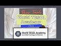 World TESOL Academy Review | My Experience