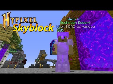 ALLE Portale fertig bauen + Lager fertig! - Minecraft Hypixel Skyblock #15
