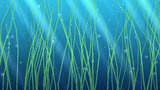Tranquil underwater ocean 4k Visual Loop | Python + Taichi CUDA | 60 FPS