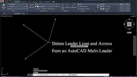 Delete Leader Lines and Arrows from an AutoCAD Multi Leader