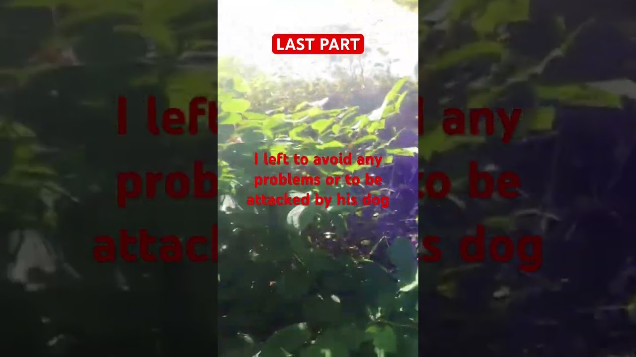 Male Karen Kicks Fisherman Off Public Property After His Dog Charges 
