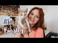 NEW ARRIVAL 🐱 | Adopting a Second Cat (with some unexpected twists!)