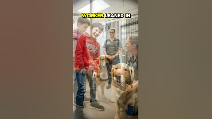 He Called Shelter Dogs ‘Losers’… Until One Changed His Life