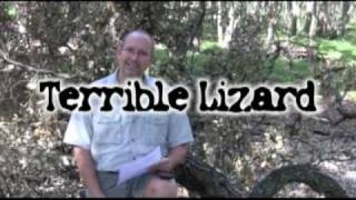 Ask DG #122   Carnotaurus, Dinosaur, Troodon, Suchomimus and Spinosaurus