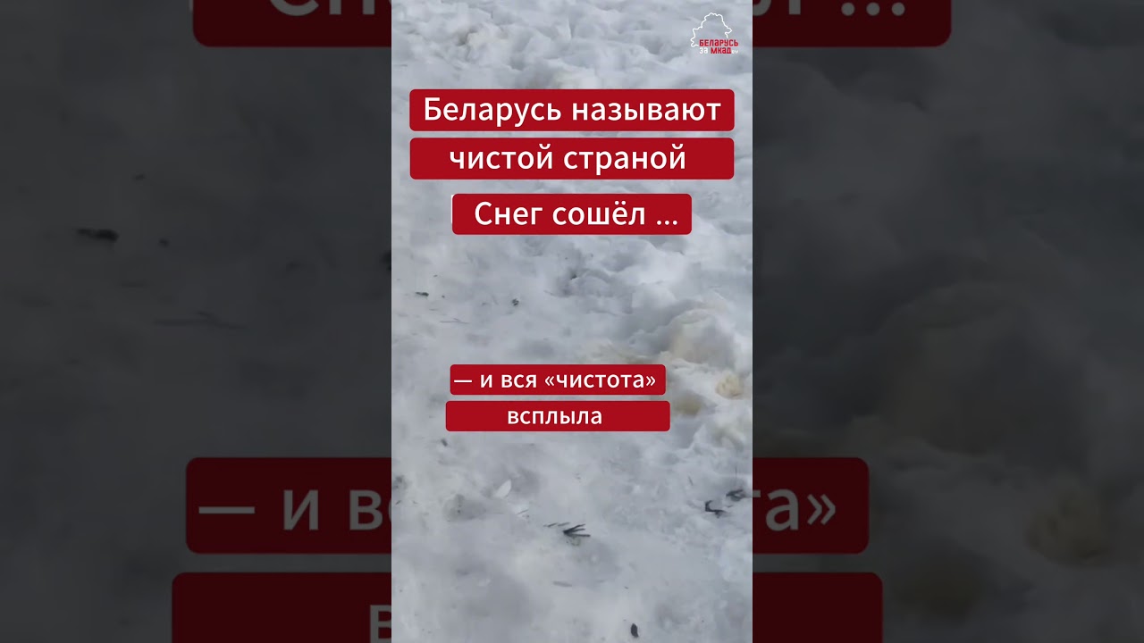 😬❄️ Фекалии, бутылки, окурки — под ногами у школ, садов и домов