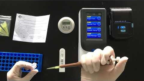 Canine Progesterone P4 Test