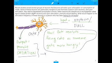 MCAT/DAT Question: What are the Neural Mechanisms of Feeding?