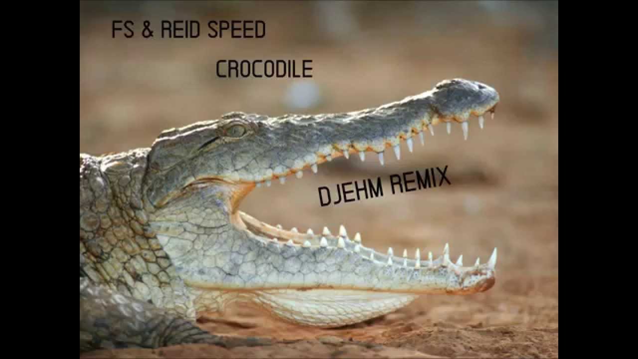 FS & REID SPEED - CROCODILE [DJEHM REMIX] - YouTube