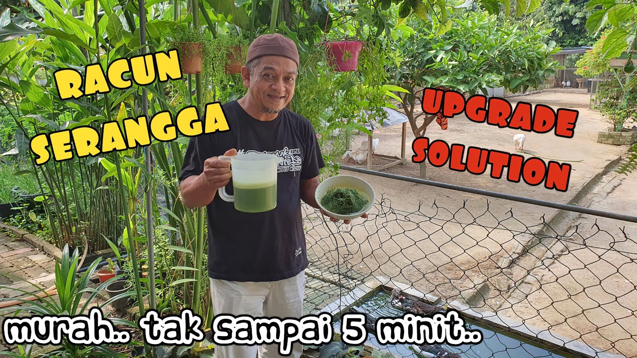 ✅️ RACUN ALAMI CEGAH HAIWAN PEROSAK. HANYA GUNA BAHAN TEPI RUMAH