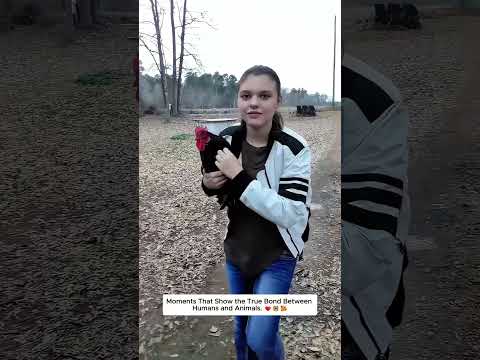 Heartfelt Moments Between Humans and Animals.