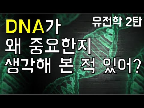 도대체 DNA는 왜 그렇게 중요한 걸까?｜유전학 여행기-2탄