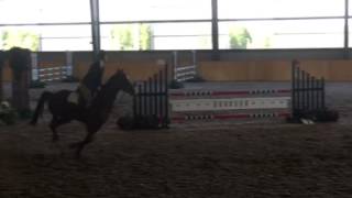 Amber 1m Jump-Off at Caledon Summer Classic
