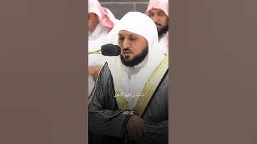 {فَكُلِي وَاشْرَبِي وَقَرِّي عَيْنًا ۖ} تلاوة للشيخ ماهر المعيقلي سورة مريم #اكسبلور #القران #قرآن