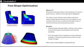 Celebrity Understanding Different Types of Optimization with Altair Net Worth