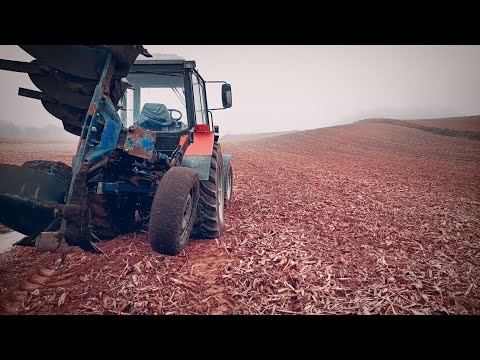 Ciężka orka po kukurydzy!|☆|K|V| #70 ✔㋡