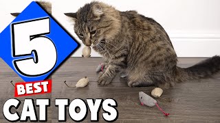 Best Cat Toy In 2025- Top 5 Cat Toys Review