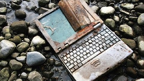 Mapping Our Technosphere/Discovering Our Biosphere