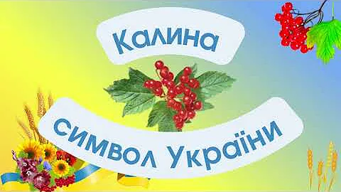 Калина символ України ПРЕЗЕНТАЦІЯ @videopresentazii