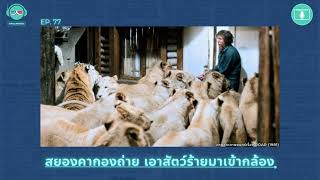 สยองคากองถ่าย เอาสัตว์ร้ายมาเข้ากล้อง - เรื่องจริงยิ่งกว่าหนัง PODCAST EP77