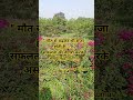 #government job preparation aspirants ssc/railway/upsssc/upsc/banking etc..