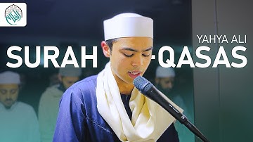 تلاوت زیبا | یحیی علی سوره قصص