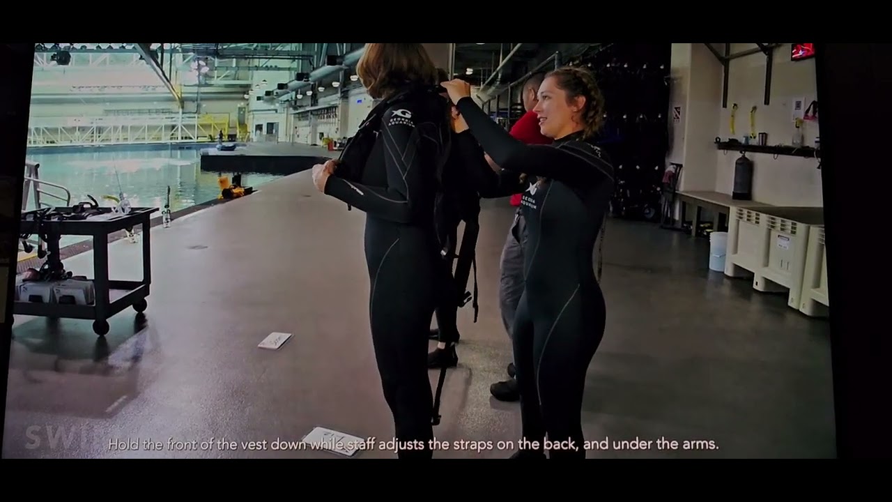 Georgia Aquarium behind the scenes and top of the big shark tank we got to swim in