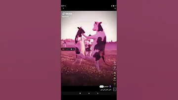 علاوي علاوي لاوي لاوي 