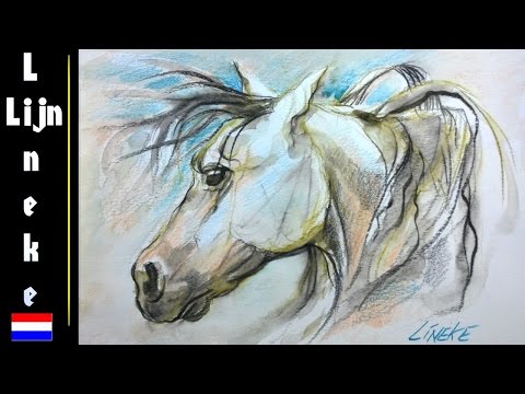 Video: Hoe Teken Je Een Paard In Aquarel