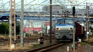 〈8091レ〉EF66-126 名古屋⇒熊本（操）　2012.6.13