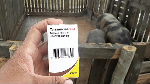 Como aplicar dectomax em porco?