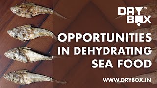 Opportunities in Dehydrating Sea Food
