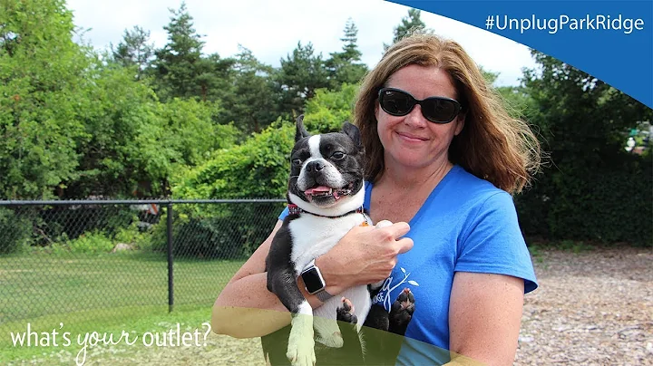 Unplug Park Ridge - Eileen O'Leary-Sorensen