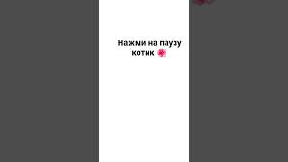 #music #song #гача #врек #гачаклуб #врекомендации #гачалайф #ждуактив #gacha #roblox