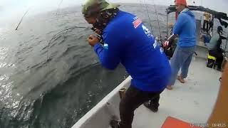 Talang sambar jig 21g