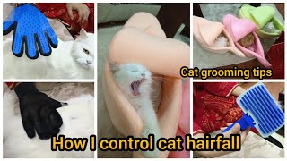 Cats ka hairfall kese control krti hon  some Cats grooming tips