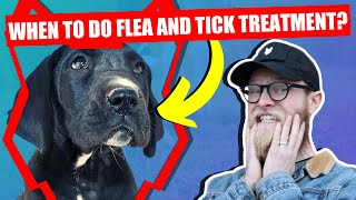 WHEN SHOULD I FLEA AND TICK MY GREAT DANE PUPPY