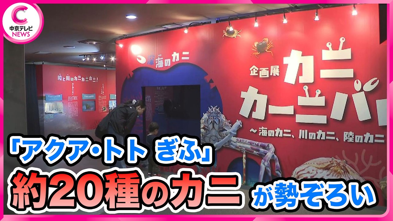 Approximately 20 species of crabs are on display, including a