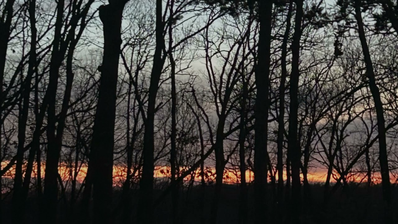 Derrek Cunningham - VOICES