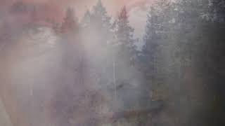 Video thumbnail of "Angelo Badalamenti / Accident/Farewell Theme (Twin Peaks)"