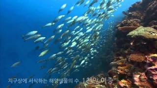 [기획 영상] 바다의 작은 생명이 만드는 기적, 해양 바이오 에너지