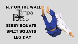 Tampa Florida Judo | Fly On The Wall | Sissy Squats | Split Squats | Leg Day