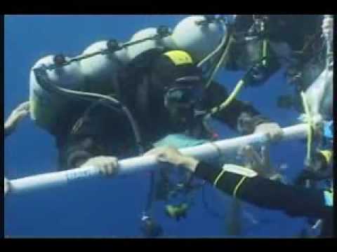 Video: Silva Stabilește Un Record Mondial De Scuba Cu O Scufundare De 48 De Ore - Matador Network