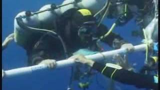 World Record Dive 318,25 m(Nuno Gomes is the current (2008) Deepes dive world record holder, that dive was documentated on video (watch 