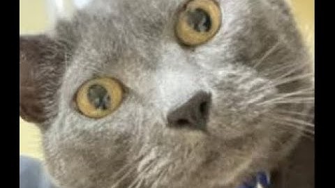 Vault of the Incarnates Resto Druid POV