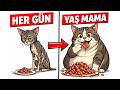 Yaş Mama Kedinizi Mahvedebilir mi? (Doğru Bilinen Yanlışlar)