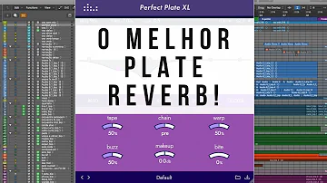 Quando usar Plate e dish?