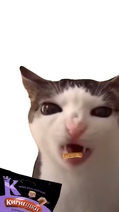 хрум-хрум #хруст #кот #сухарики #кириешки #ням - YouTube